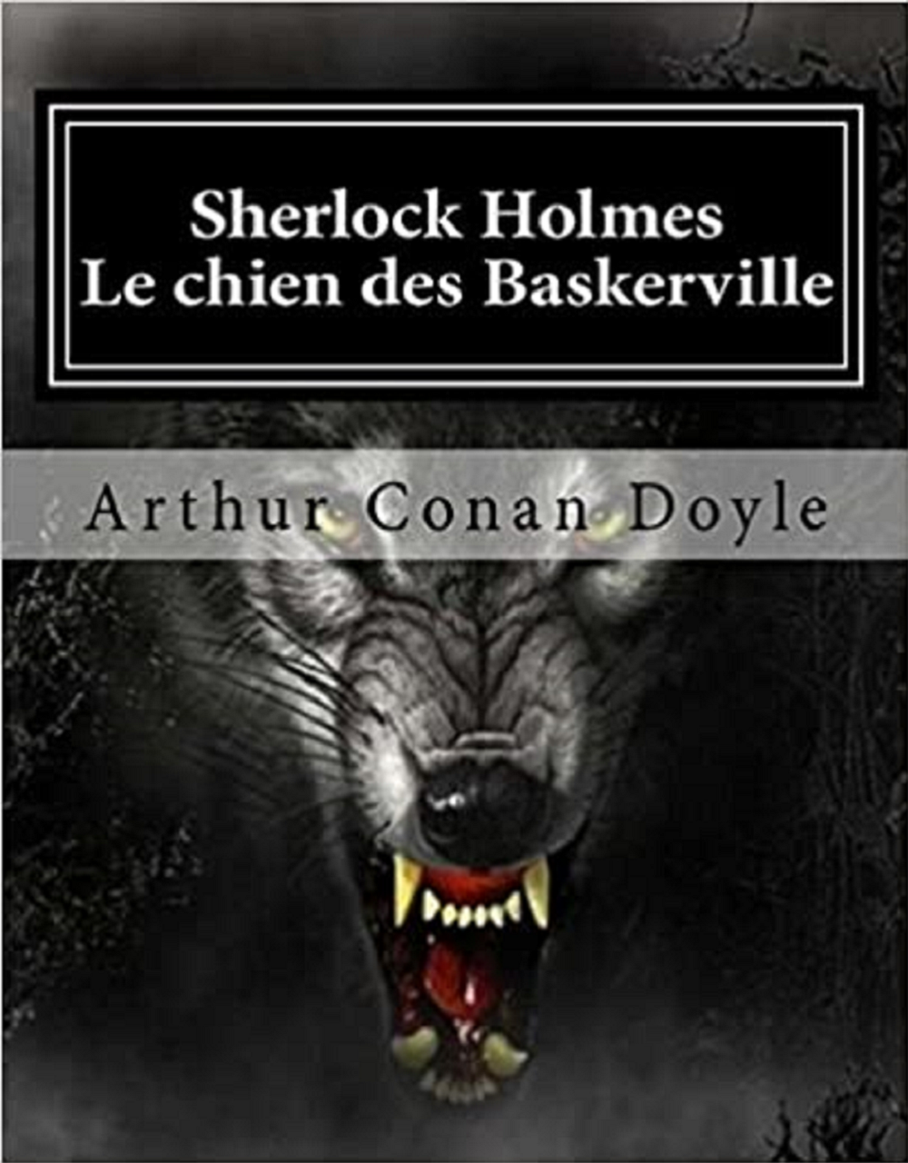 Sherlock Holmes - Le chien des Baskerville
